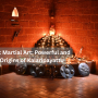 yog-sidebar-logo